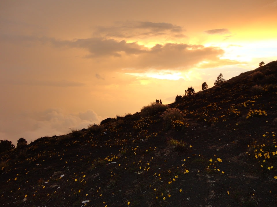 Volcán de Fuego summit, lava spilling from Volcán de Fuego, Antigua Guatemala