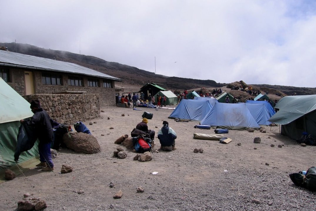 Machame Camp rainforest, Shira Plateau, Lava Tower semi-desert, Uhuru Peak summit