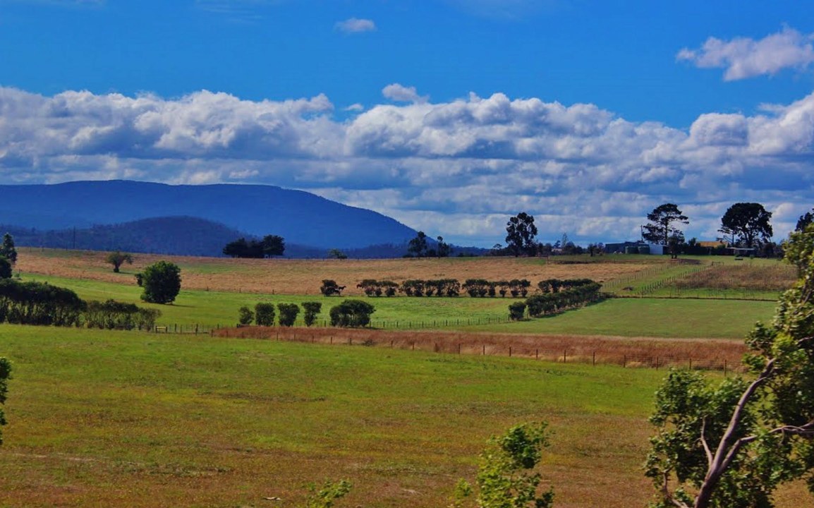 Healesville Sanctuary, Spirits of the Sky show, Australian Wildlife Health Center, Yarra Valley wineries