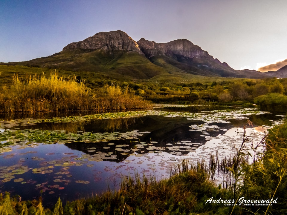 Helderberg Nature Reserve, lower section of the reserve, Visitor Information Centre