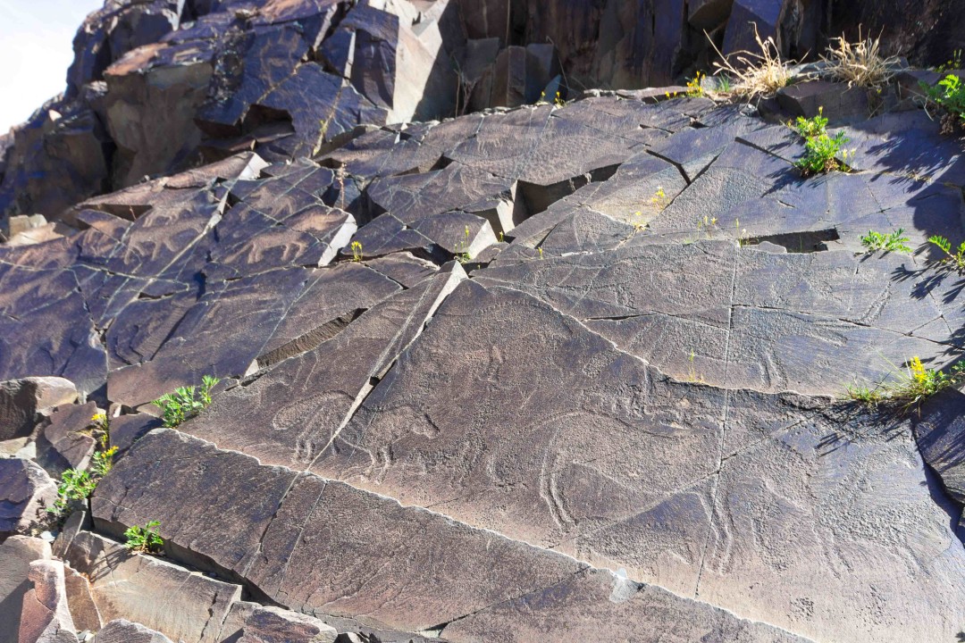 Tamgaly petroglyphs, Kaskelen countryside, Uzynagash farmland, Kopa railway station