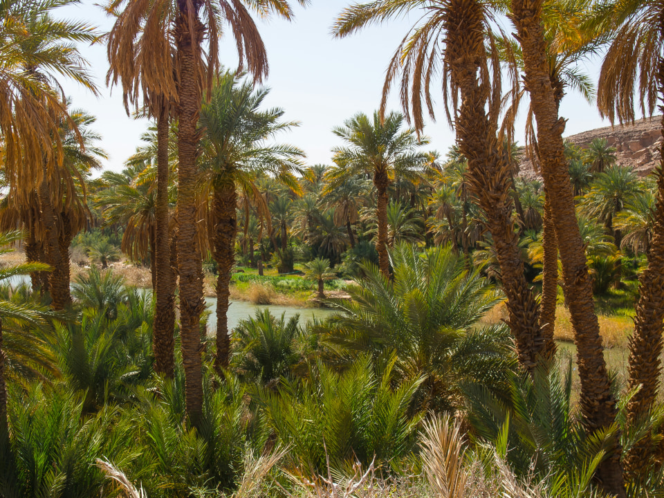 Old Ksar of Taghit, sand dunes, Karouch Lake, Milaz Oasis