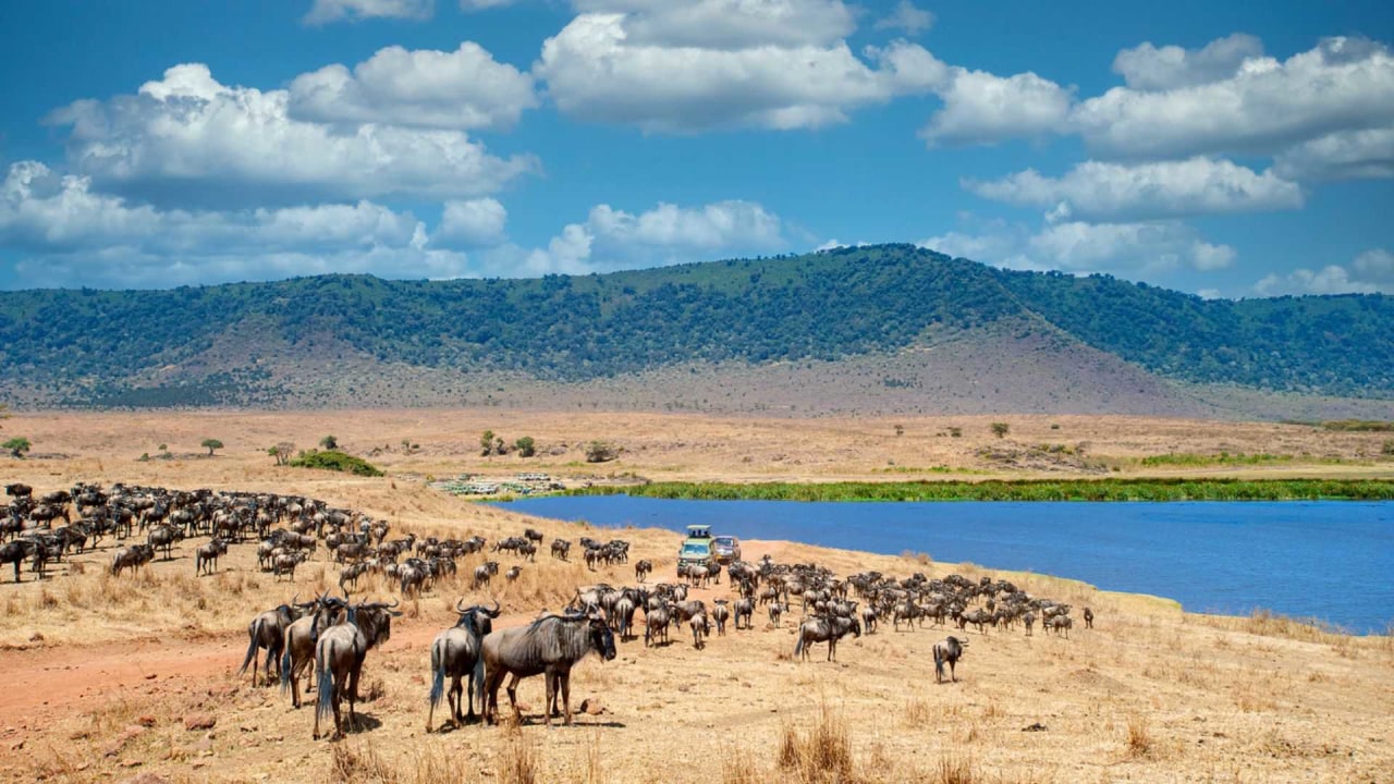 Ngorongoro Crater, Lake Magadi, hippo pool