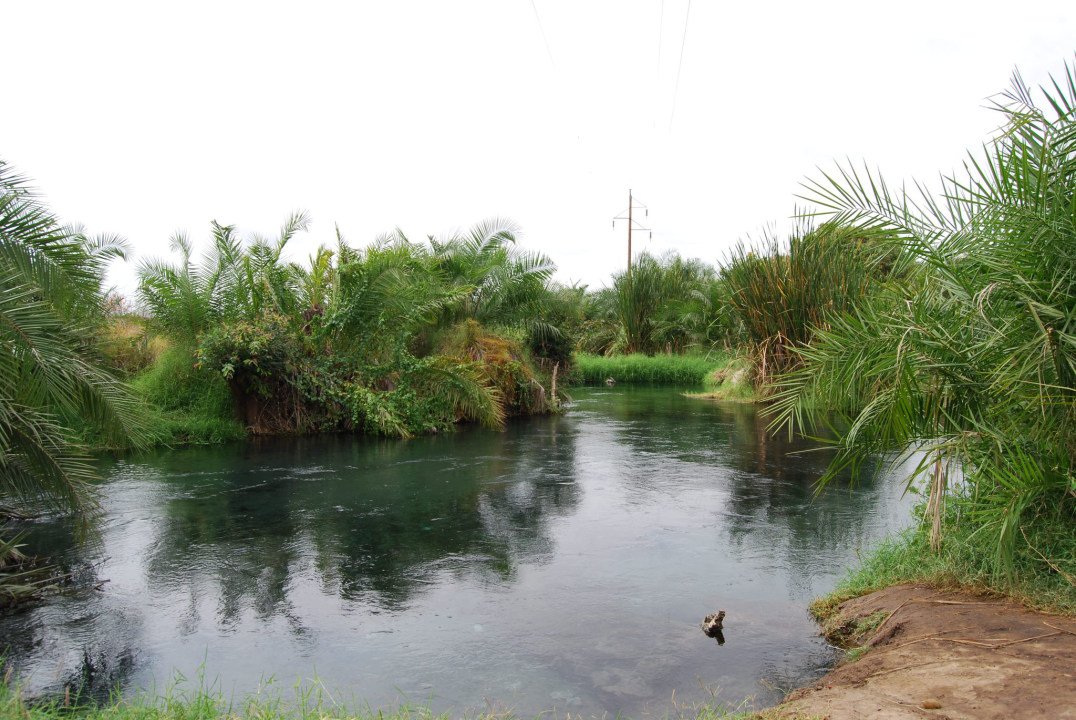Kikuletwa Hot Springs, palm and fig tree pool, Mount Kilimanjaro-fed waters