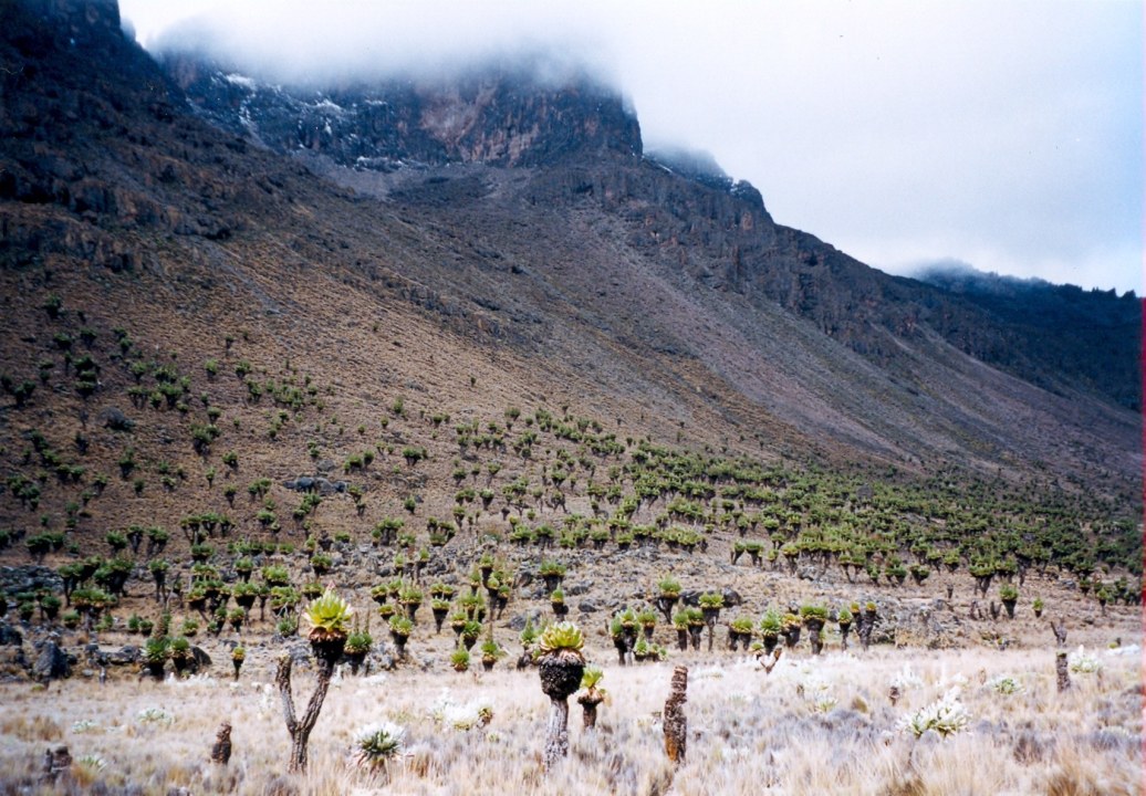 Point Lenana, Mackinder Valley, Halls Tarns