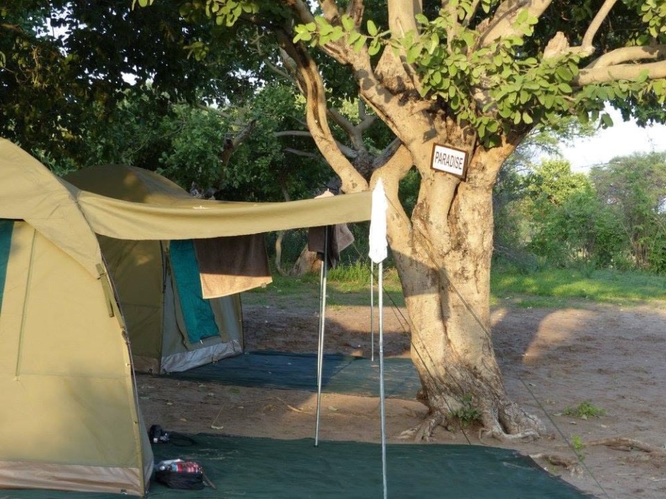 Baines Baobabs, Ntwetwe Pan meerkats, Makgadikgadi salt pans