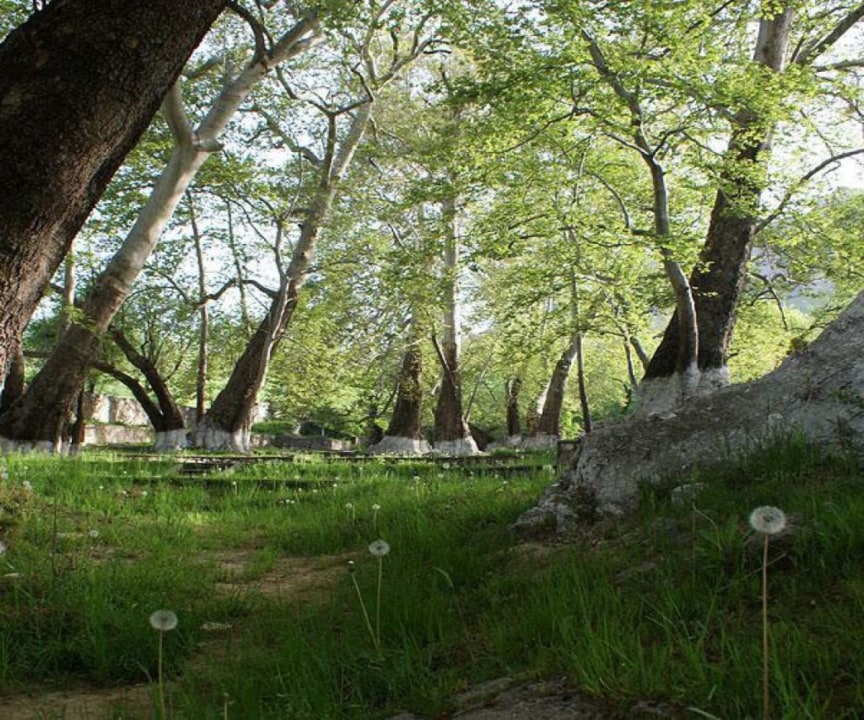 sacred garden of Chor-Chinor, Urgut Bazaar, Konigil village, Mero's paper factory