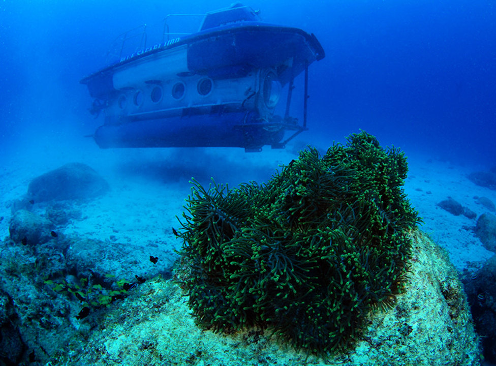 the wreck of the Star Hope, Mauritius ocean waters, crabs and eels