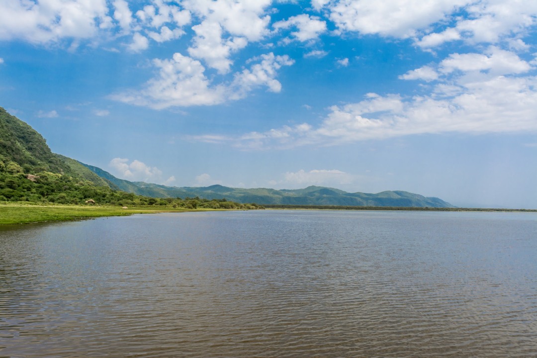 Tarangire National Park baobab plains, Ngorongoro Crater floor, Lake Manyara Hippo pools