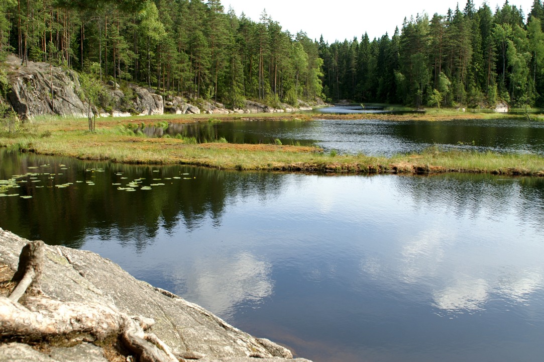 Nuuksio National Park forests, Pikku-Parikas pond, Haltia Nature Centre, Helsinki harbour
