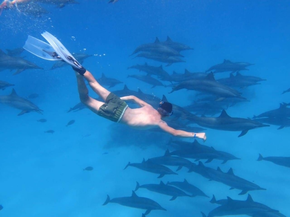 Dolphin House, turquoise waters of the Red Sea, coral reefs off Hurghada