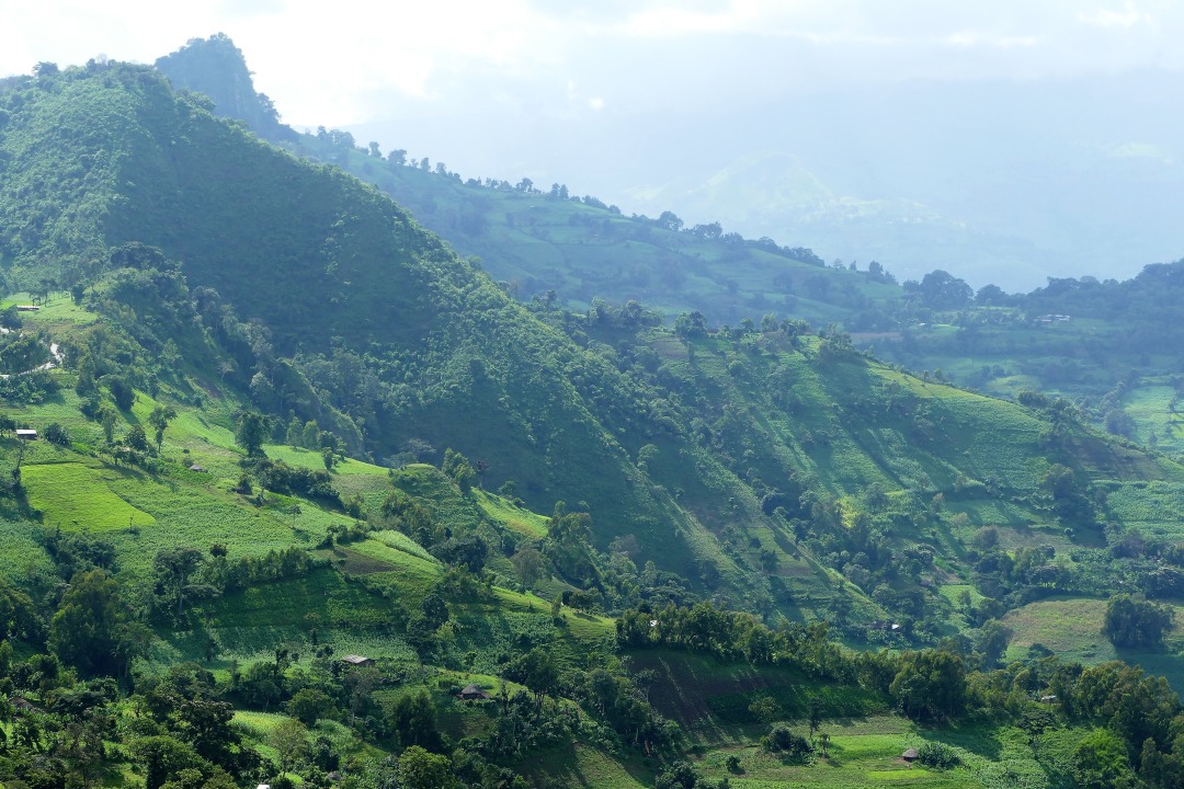 Chebera Churchura National Park, Lake Bulo, Halala Kela, Shoshuma