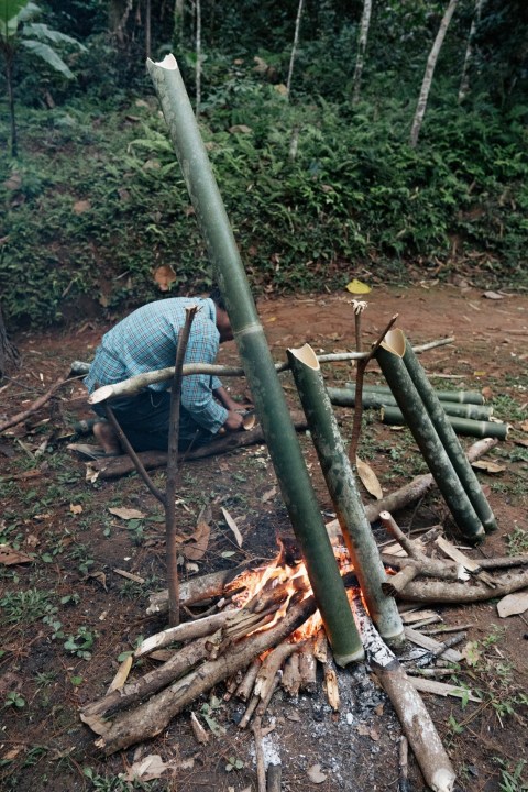 Lisu village, bamboo forests, tea plantation, Pasoet Hot Spring