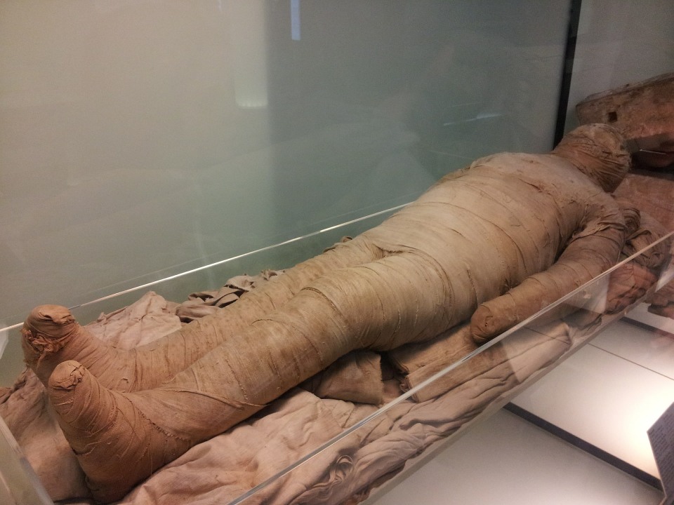 Egyptian Museum, Giza Plateau, Great Pyramid of Giza, Great Sphinx of Giza