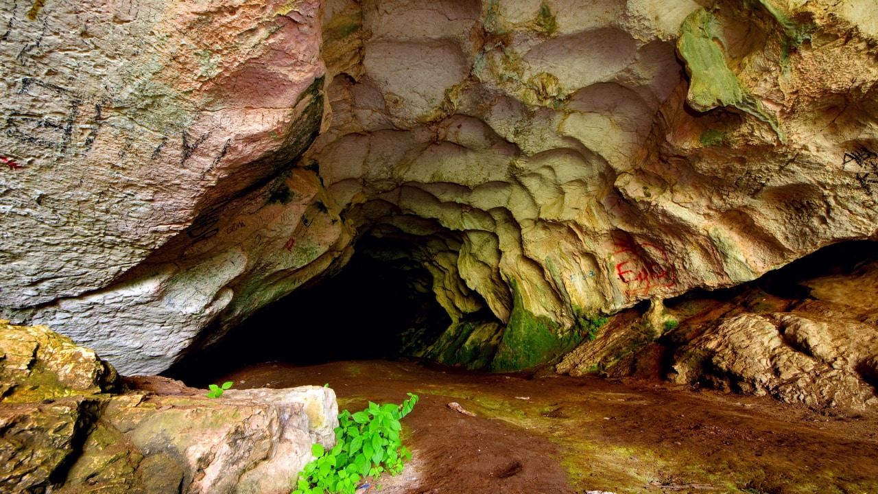 Pëllumbas Cave, Pëllumbas village, Tirana