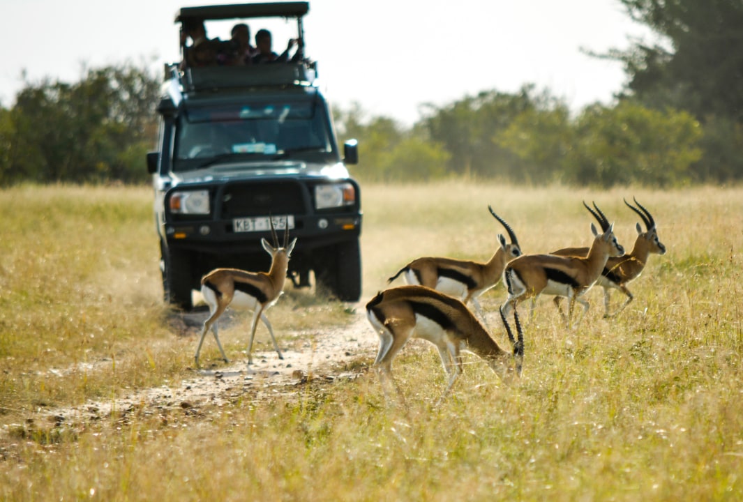 Victoria Falls, Mosi-oa-Tunya National Park, Tiffany's Canyon Lodge, Mubuyu Coffee Farm