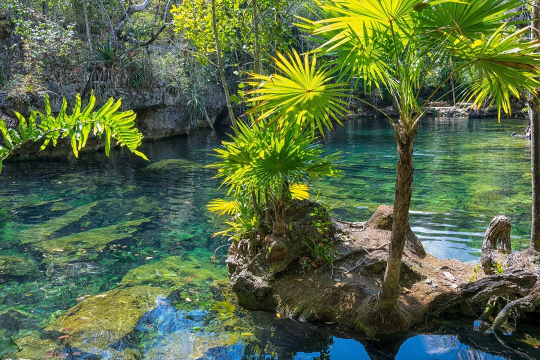 Muyil Archaeological Site, Muyil mangrove channels, cenotes