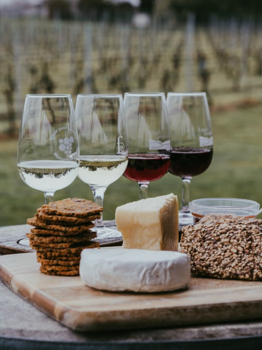 Fairview Wine and Cheese farm, Glen Carlou Wine Estate, Huguenot Monument, Stellenbosch University