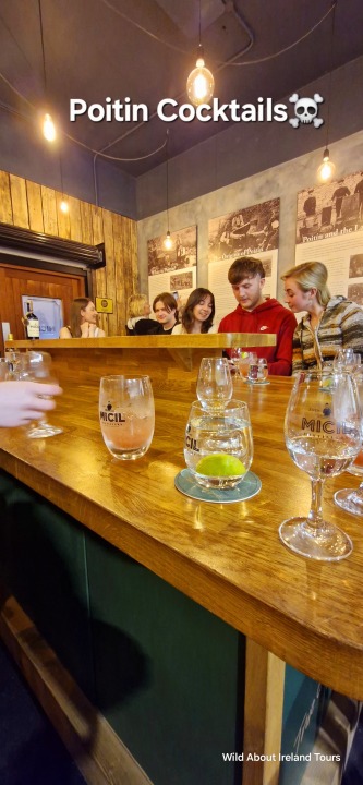 Connemara coastline, Killary Fjord mussels, Letterfrack oysters, Galway City whiskey distillery