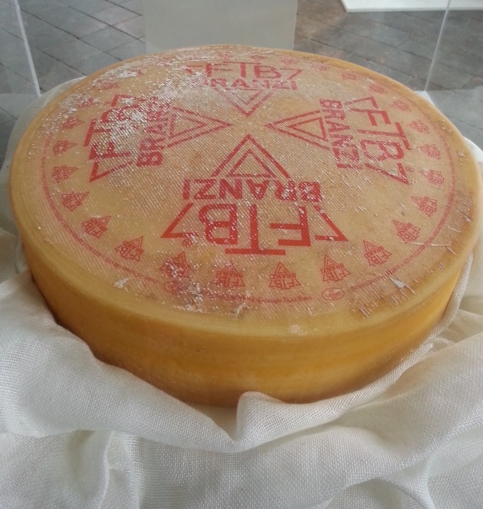 a local small dairy factory, local D.O.P. cheeses, San Pellegrino, the foothills of the Alps