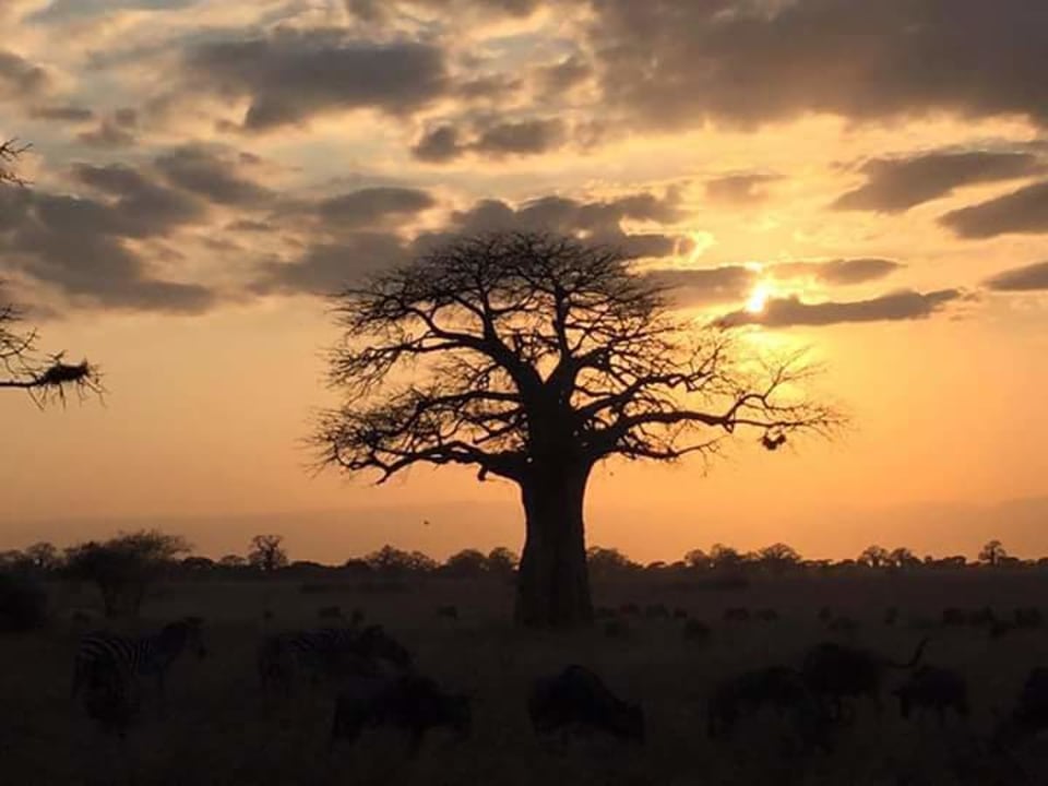 Serengeti National Park, Seronera, Ngorongoro Crater rim