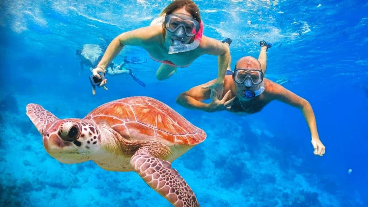 Stone Town, House of Wonders, Safari Blue, Kizimkazi