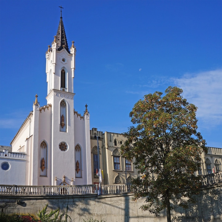 Vilakazi Street, Regina Mundi Church, Mandela House, Hector Pieterson Museum