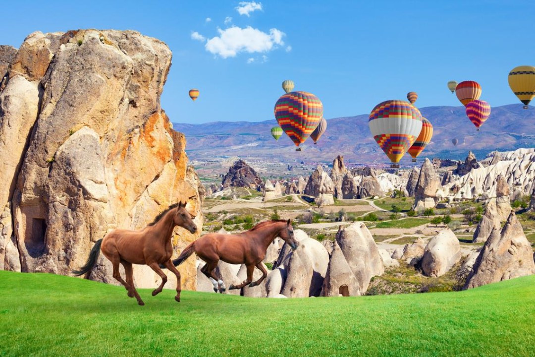 Devrent Valley, Pasabagi (Monk's Valley), Goreme Open Air Museum, Avanos