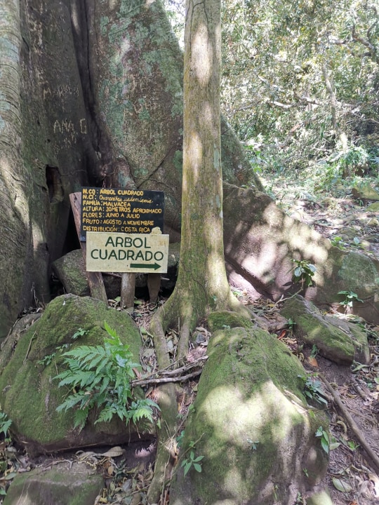 El Valle de Antón crater, Chorro El Macho waterfall, Panama City