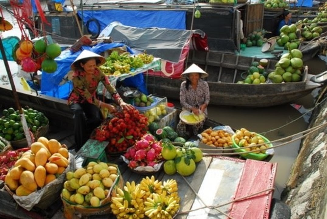 Ben Dinh and Ben Duoc tunnels, Mekong Delta River, My Tho riverside lunch