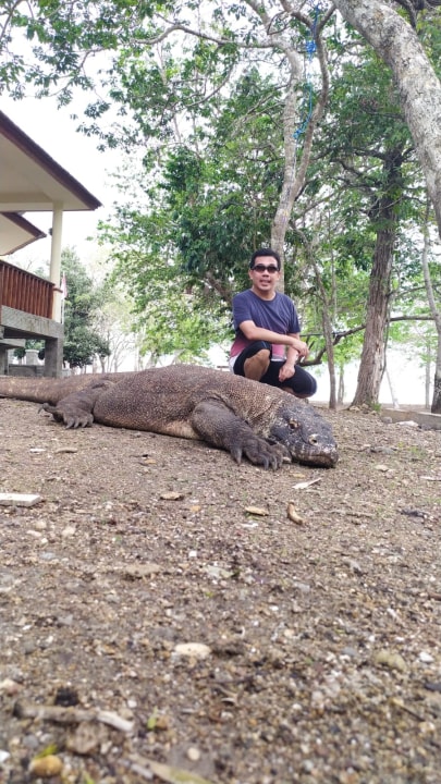 Padar Island ridgelines, Pink Beach sands, Komodo Island wildlife, Manta Point