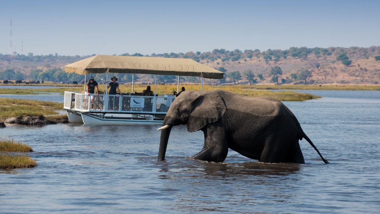 Victoria Falls rainforest, Victoria Falls Bridge vantage, Chobe National Park safaris, Upper Zambezi canoeing