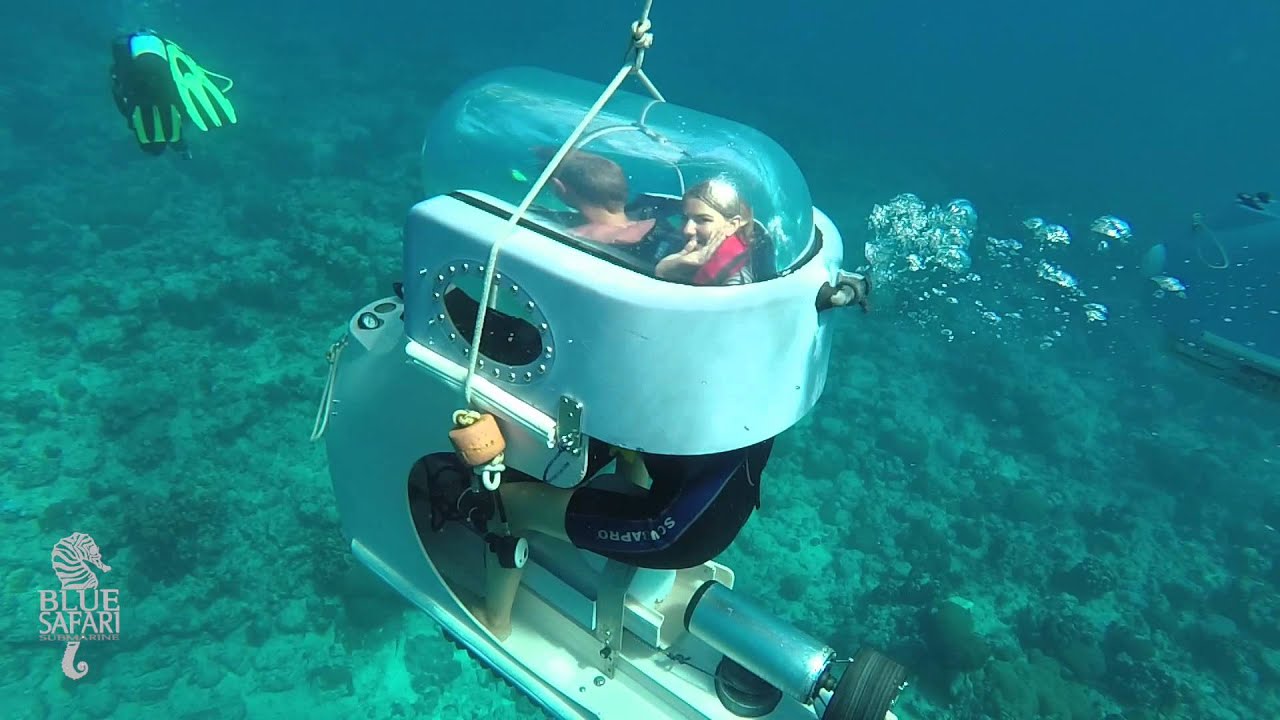 seabed of the Indian Ocean, warm, blue waters off the shore of Mauritius
