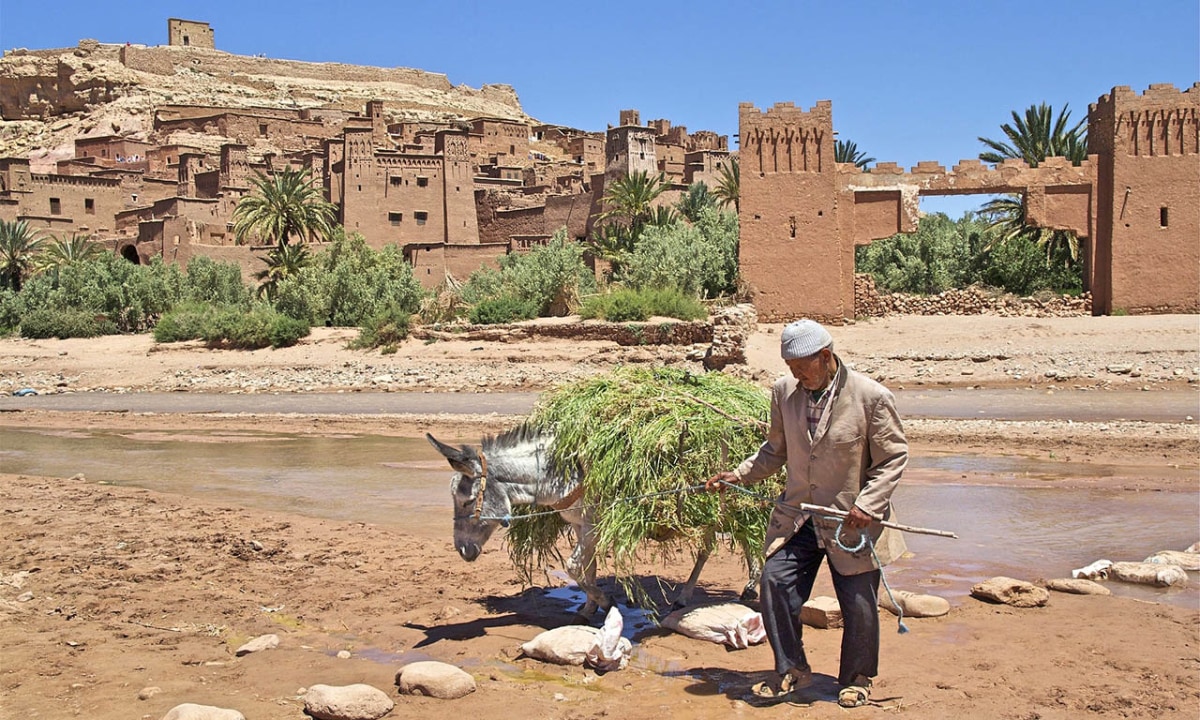 Erg Chigaga dunes, Lac Iriki dry lake bed, Aït Benhaddou ksar, Jemaa el-Fnaa