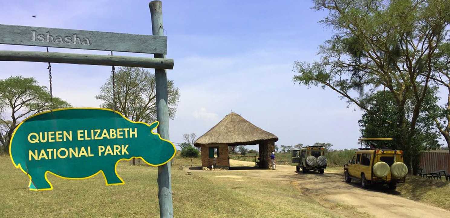 Kazinga Channel boat cruise, Ishasha tree-climbing lions, Bwindi Impenetrable Forest gorilla trek