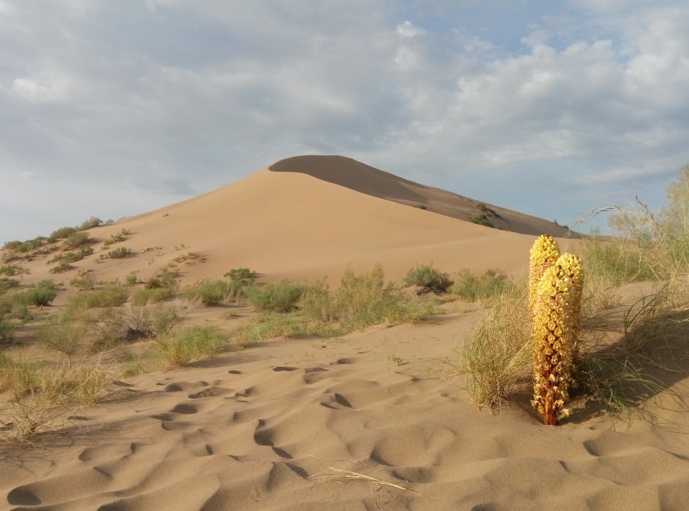Singing Dune, Ak-Tau mountains, Katu-Tau mountains, Basshy village
