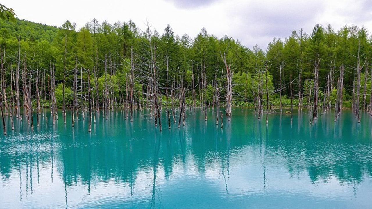 Biei's Blue Pond, Shirahige Waterfalls, Shikisai no Oka flower fields