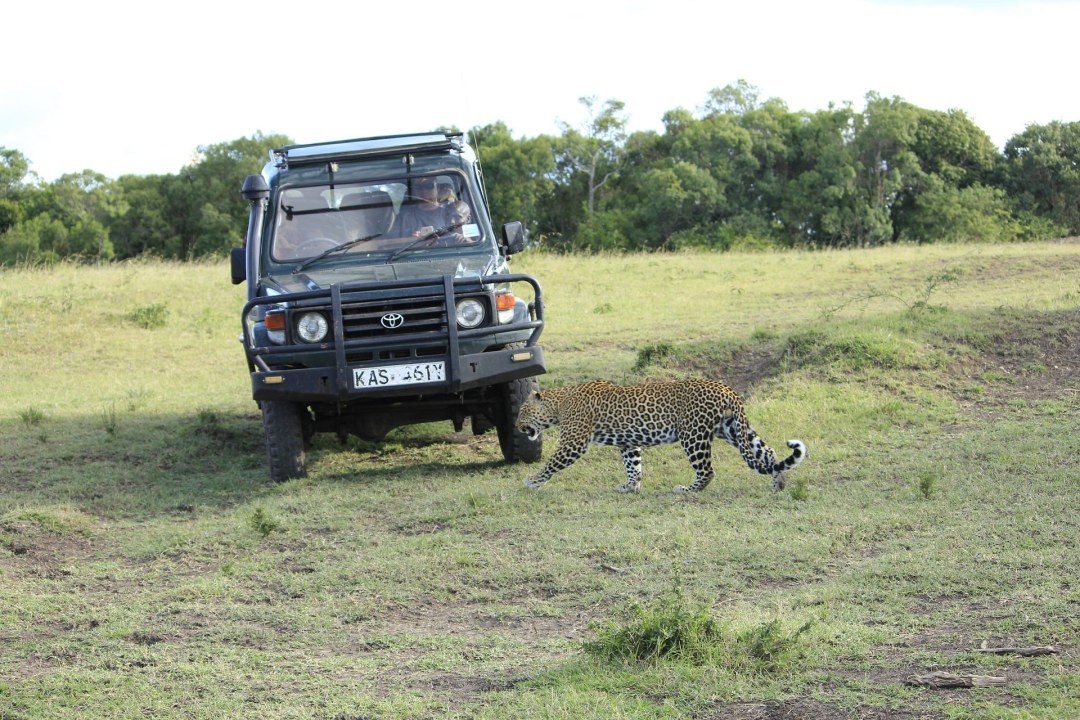 Masai Mara, Great Rift Valley, Mount Kilimanjaro, Mzima Springs