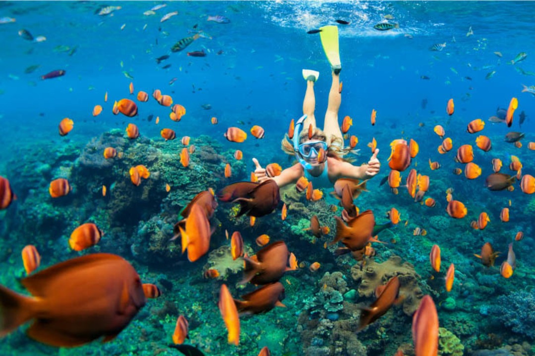 colourful coral reefs, Safari Blue, sandbanks at Fumba Village, Zanzibar