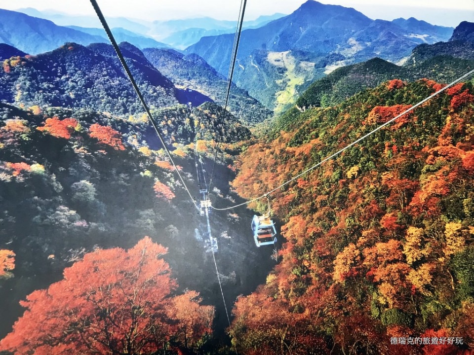lush forests of Jinfo Shan (Golden Buddha Mountain), mountain summit at an altitude of 2200 meters, ropeway cable car