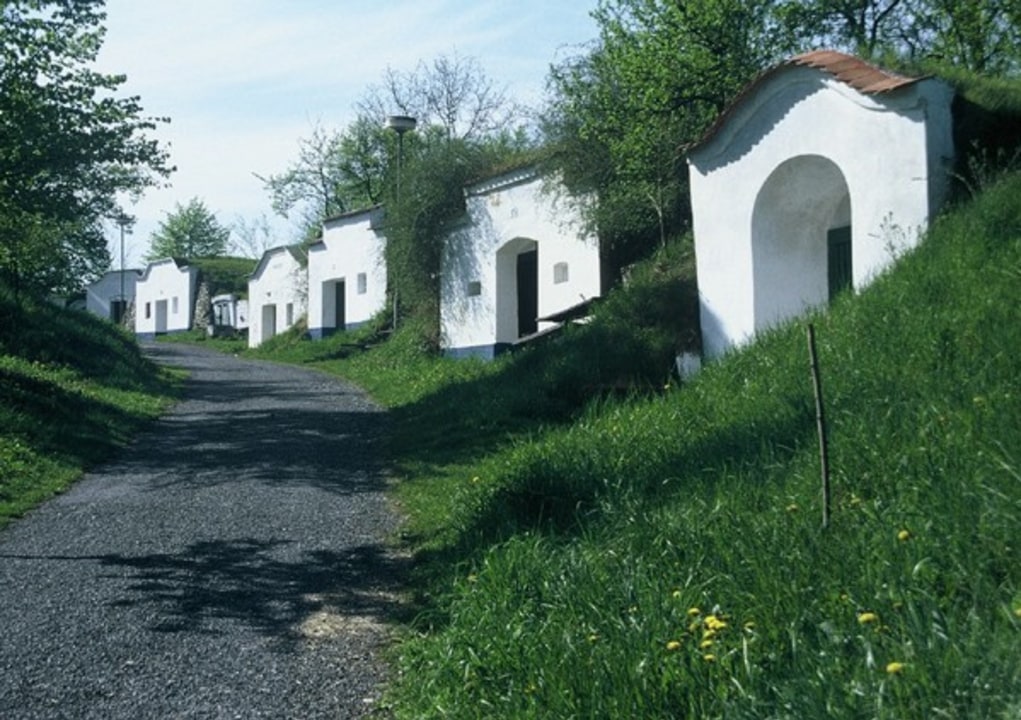 Pálava Hills limestone slopes, Lednice park and lake with 15 islands, White Carpathian Mountains orchid meadows