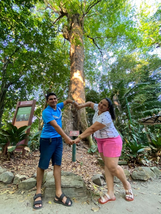 MUSA, torre de 42 metros de altura, lago com plantas aquáticas Vitória Régia
