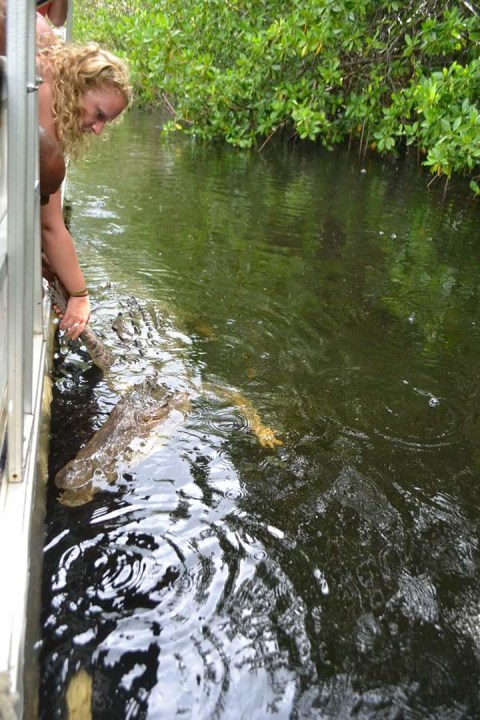 Pelican Bar on a sandbank, Black River boat ride, YS Falls