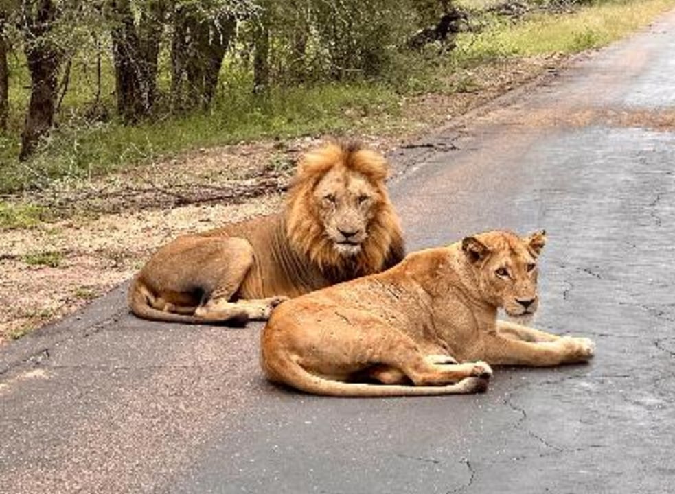 Kruger National Park savannah, Blyde River Canyon, Graskop Gorge Lift