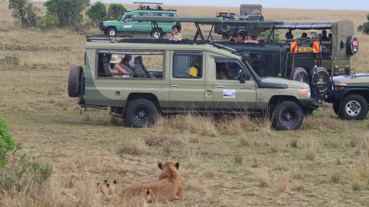 Samburu National Reserve, Masai Mara, Lake Naivasha, Mount Kilimanjaro