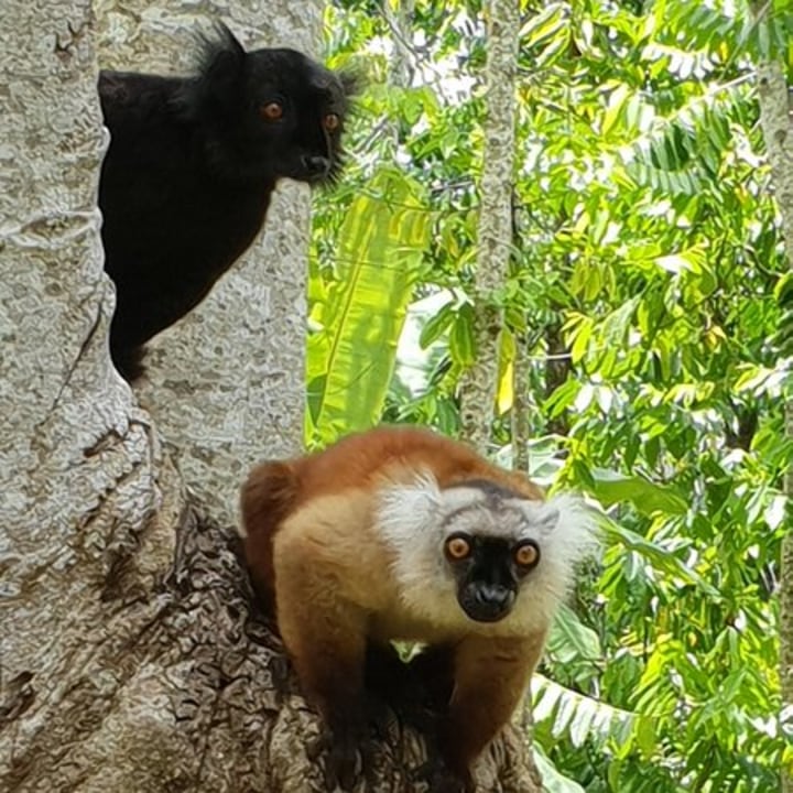 Red Tsingy, Ankarana National Park, Nosy Be, Nosy Iranja
