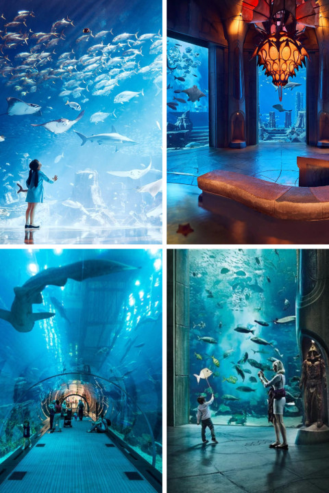 Burj Khalifa, Dubai Frame, Palm Jumeirah, Jumeirah Beach