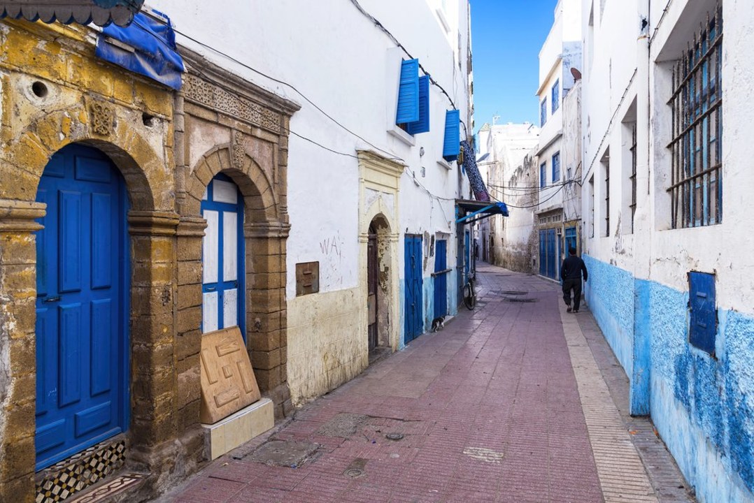 argan trees with goats, Medina of Essaouira, Essaouira port