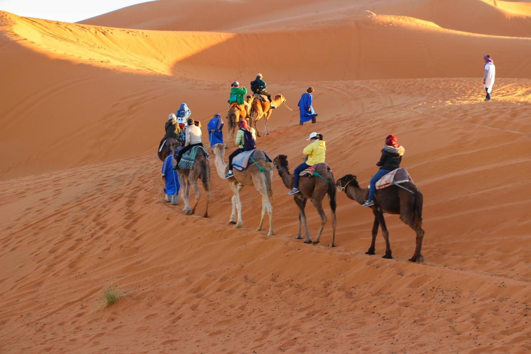El-Tod, sand dunes, desert villages, quiet stargazing at night with a telescope