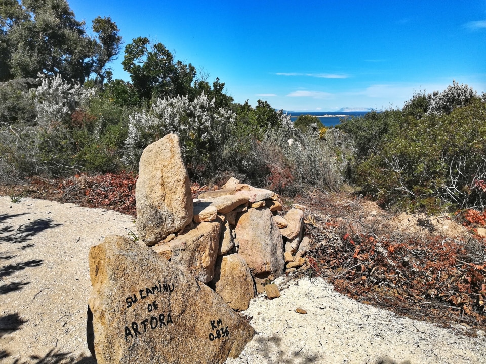 Punta Artora, white dunes of Capo Comino, Capo Comino Natural Reserve, La Caletta